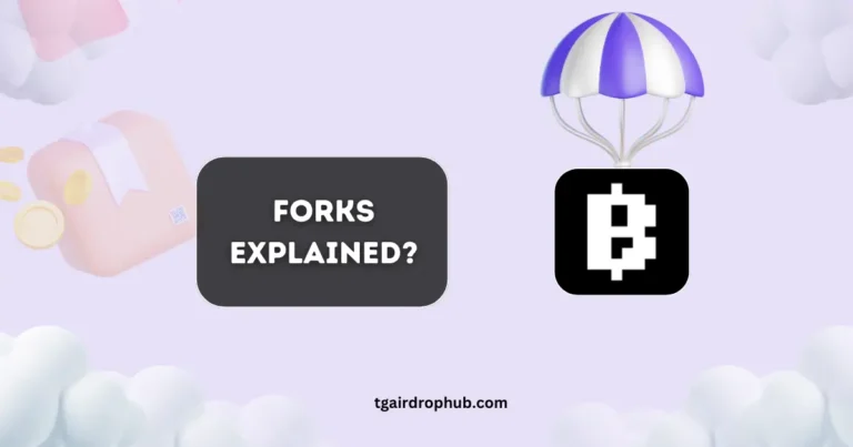 Forks Explained?